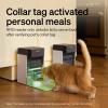 imageBundle of PETLIBRO Upgraded RFID Automatic Cat Feeder 2 Packs 5G WiFi Automatic Pet Feeder 3L Auto Cat Feeder App Control with Light Collar Tag  PETLIBRO 6 Packs Pet Food Desiccant BagBlack