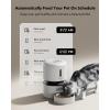 imagePETLIBRO Automatic Cat Feeder with Camera 1080P HD Video with Night Vision 5G WiFi Pet Feeder with 2Way Audio Low Food ampamp Blockage Sensor Motion ampamp Sound Alerts for Cat ampamp Dog Single TrayWhite