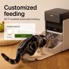 imagePETLIBRO Cat Water Fountain ampamp RFID Automatic Pet Feeder Combo APP Control for Feeding Schedule ampamp Hydration Monitoring 25L84oz Dockstream Auto Water Dispenser 3L Auto Feeder with Collar Tag
