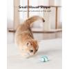 imagePETLIBRO Interactive Cat Toys for Indoor Cats Automatic Cat Toy with LED Lights Cat Mouse Toys Smart Sensing Moving Electric Cat Toys USB RechargeableBlue