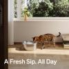imagePETLIBRO Stainless Steel Cat Water Fountain 101oz3L Automatic Water Dispenser for Cats Indoor Quiet Pet Water Dispenser with 2 Filters Adjustable Flow Cat Fountain Also for Small DogsMetal