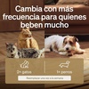 image:imagePETLIBRO Dockstream Cat Water Fountain Filters 8 Pack PETLIBRO Water Fountain Filters for Cat Fountain WF106116105115005305 Pet Water Fountain Filter Replacement 4Month Supply8 Filters