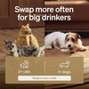 image:imageBundle of PETLIBRO Upgrade Cat Water Fountain Cordless Cat Fountain App Monitoring 3L101oz Dockstream 2 Pet Water Fountain with Stainless Steel Tray Dog Water Bowl Dispenser  Splash ShieldWhite
