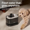 image:imagePETLIBRO Small Dog Water Fountain Cordless Automatic Dog Water Bowl Dispenser With Stainless Steel Tray 25L84oz Battery Operated Indoor Pet Fountain Also for Medium Breeds Quiet and Easy to CleanBlack